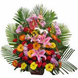 ػʵʻٵ
